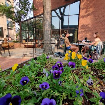 Book Trader Cafe - Fabulous outdoor patio area at the Booktrader Café. - Coffee & Tea Near Me - New Haven, Connecticut