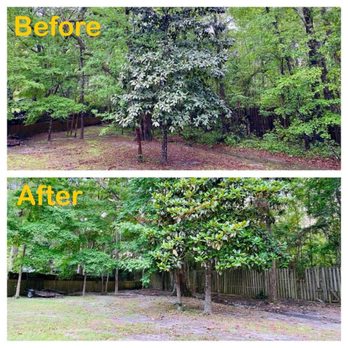 Dirty Digs Tractor Service - This client wanted us to clean up their fence line. Here is before and after photos. - Tree Services Near Me Dirty Digs Tractor Service - This client wanted us to clean up their fence line. Here is before and after photos. - Tree Services Near Me