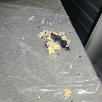 Extra Storage - Irvine - Rat piss and poop!!! - Self Storage Near Me - Irvine, California
