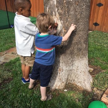 Muchi's Child Care - Playing outside - Child Care & Day Care Near Me - Plano, Texas Muchi's Child Care - Playing outside - Child Care & Day Care Near Me - Plano, Texas