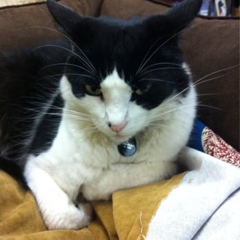 Kibbles 'n Gifts - Pet Stores Near Me - Half Moon Bay, California
