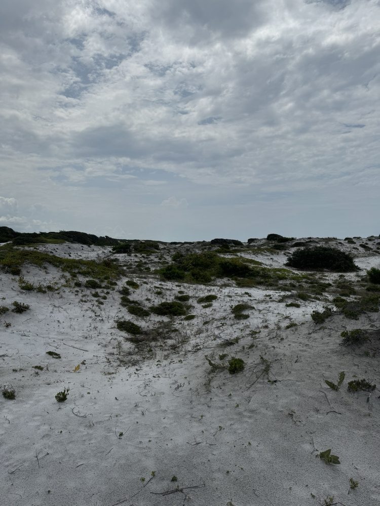 Topsail Preserve Punlic Beach Logo