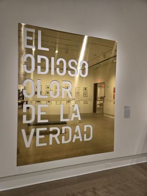 Rollins Museum of Art by null