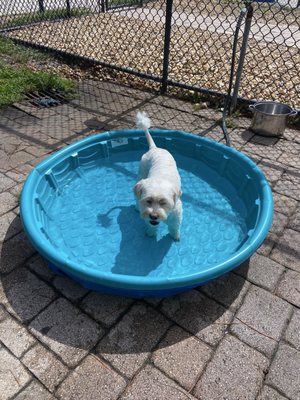 Dr. P. Phillips Community Park by null