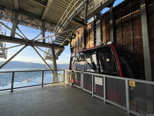 Arctic University Museum of Norway by null