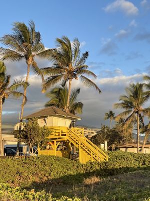 Kamaole Beach Park I by null