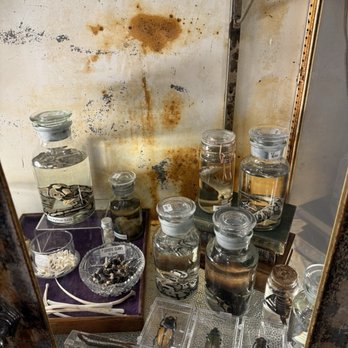 Curiosities - Antiques Near Me - Dallas, Texas