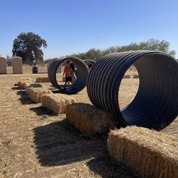 Mike’s Pumpkin Patch - Pumpkin Patches Near Me - Galt, California