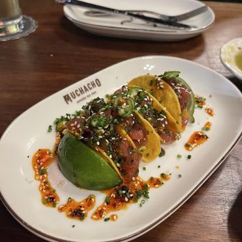 Muchacho - Ahi Tuna Taquitos - Mexican Near Me - Dallas, Texas Muchacho - Ahi Tuna Taquitos - Mexican Near Me - Dallas, Texas