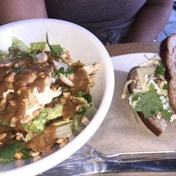 Panera Bread - Spicy Thai salad, Chicken apple and cheddar sandwich - Salad Near Me - Clark, New Jersey Panera Bread - Spicy Thai salad, Chicken apple and cheddar sandwich - Salad Near Me - Clark, New Jersey