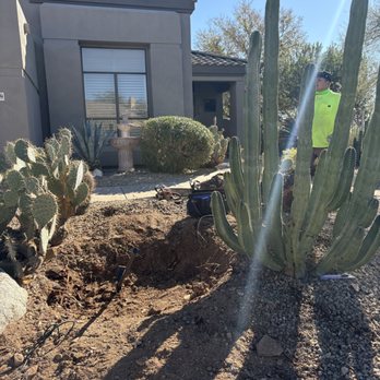 Desert Winds Landscape - Tree and stump removal - Landscaping Near Me Desert Winds Landscape - Tree and stump removal - Landscaping Near Me