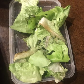 Genghis Grill - Lettuce for our lettuce wrap appetizer. Fully decayed lettuce! - Mongolian Near Me - McKinney, Texas