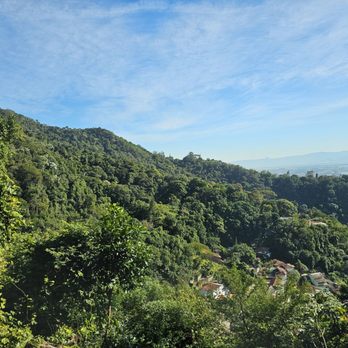 Cristo Redentor - Corcovado - Rainforest as you ascend via train to the top - Landmarks & Historical Buildings Near Me - Rio de Janeiro, RJ