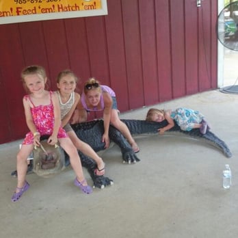 Insta-Gator Ranch & Hatchery - Photo opportunity galore! - Tours Near Me - Covington, Louisiana