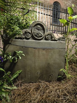 Bulldog Tours by null