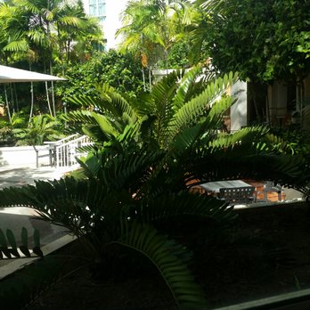 Brasa's Restaurant - View from inside the restaurant. This is in the natural light area with lots of windows. - Puerto Rican Near Me - Añasco, Puerto Rico
