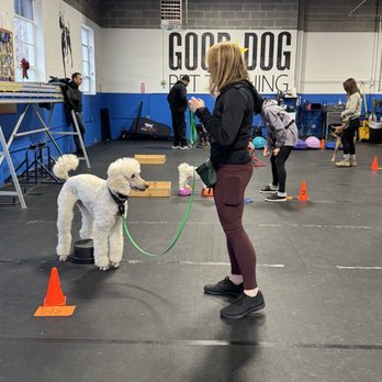Good Dog Pet Training - Pet Training Near Me - Mahwah, New Jersey