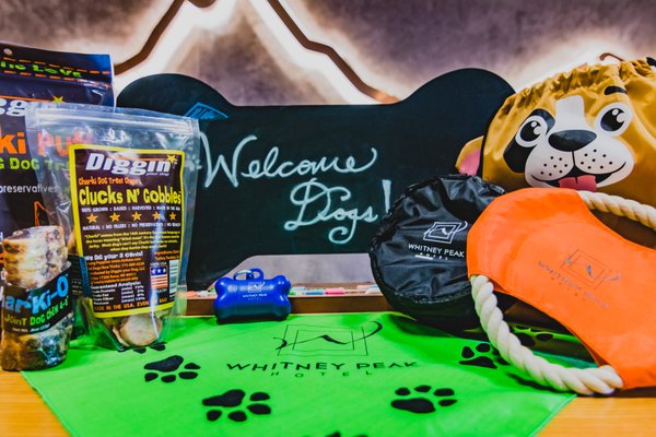 BaseCamp Climbing Gym by null