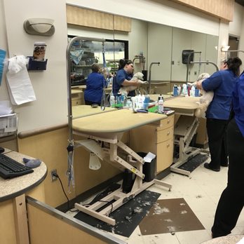 PetSmart - Pet Training Near Me - Florissant, Missouri PetSmart - Pet Training Near Me - Florissant, Missouri