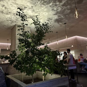 Misi - Italian Near Me - Brooklyn, New York Misi - Italian Near Me - Brooklyn, New York