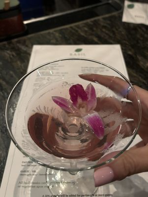 Basil Thai Cuisine-Charlotte, NC by null