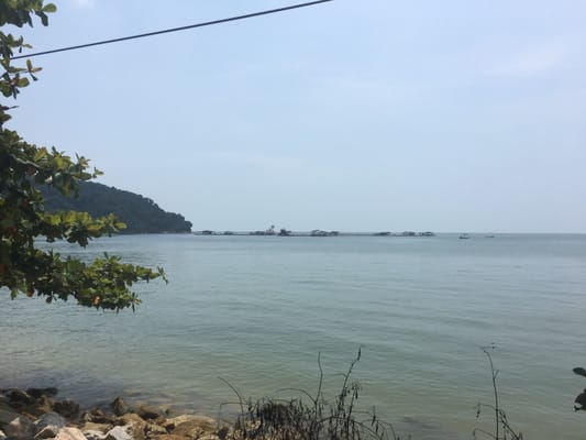 Penang National Park by null