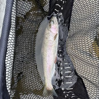 Joe Cantrell Outfitting - Tours Near Me - Saint Regis, Montana