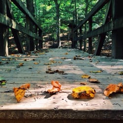 Battle Park - Ah, Fall in the forest...