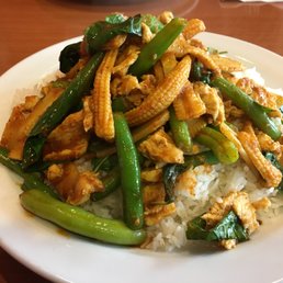 Jungle Curry