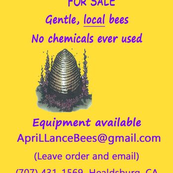 April Lance Bees - We sell honeybees! - Honey Near Me April Lance Bees - We sell honeybees! - Honey Near Me