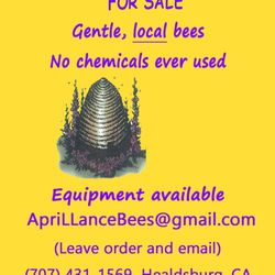 We sell honeybees!