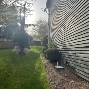 Premium Wood - It was before without a brand new gate and fence - Fences & Gates Near Me - Bothell, Washington Premium Wood - It was before without a brand new gate and fence - Fences & Gates Near Me - Bothell, Washington
