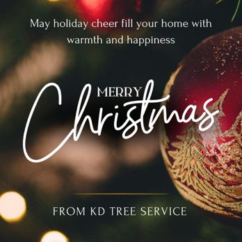 KD Tree Service Albany NY - Wishing you joy, calm moments, and holiday magic this Christmas! - Tree Services Near Me - Albany, New York KD Tree Service Albany NY - Wishing you joy, calm moments, and holiday magic this Christmas! - Tree Services Near Me - Albany, New York