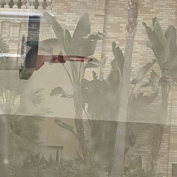 Da Vinci Apartments - Missing net, easy fix! - Apartments Near Me - Los Angeles, California Da Vinci Apartments - Missing net, easy fix! - Apartments Near Me - Los Angeles, California