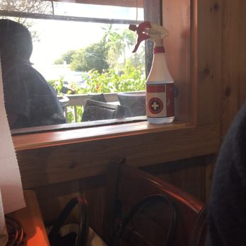 Hooters - Cleaning spray - American Near Me - Miami, Florida