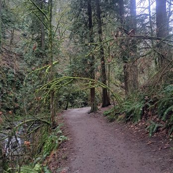 Forest Park - Parks Near Me - Portland, Oregon