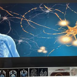 Case Chiropractic Neurology Center - From pain to brain, Dr. Case and his team Gotcha Covered. 2/2021