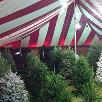 Happy Holiday Christmas Trees - Christmas Trees Near Me - Pembroke, Florida Happy Holiday Christmas Trees - Christmas Trees Near Me - Pembroke, Florida