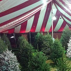 Happy Holiday Christmas Trees