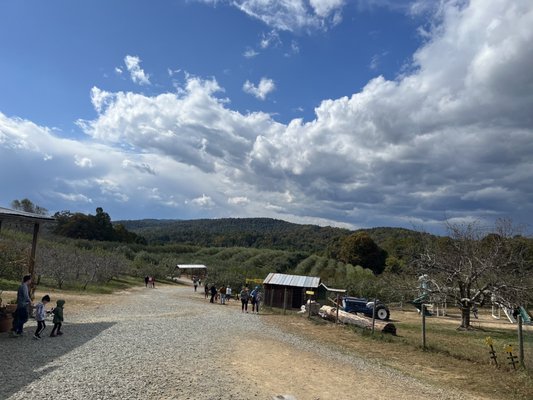 Sky Top Orchard by null