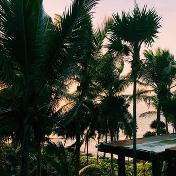 Hotel Mi Amor - Hotels Near Me - Tulum, ROO Hotel Mi Amor - Hotels Near Me - Tulum, ROO