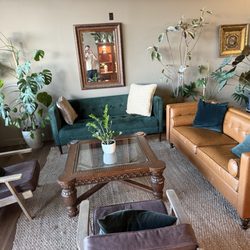 Brewtanicals Coffee House & Plant Lounge