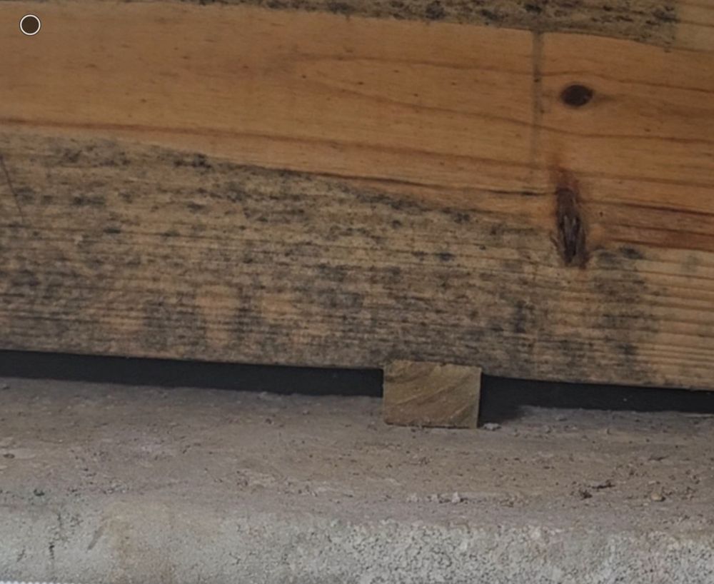 AR Mold Inspection - mold inspector in Hardy, AR