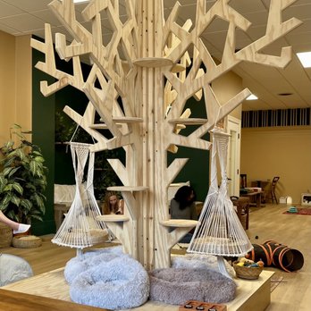 Purrista Cat Cafe - Themed Cafes Near Me - Erie, Pennsylvania Purrista Cat Cafe - Themed Cafes Near Me - Erie, Pennsylvania
