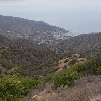 Catalina Island - Local Flavor Near Me Catalina Island - Local Flavor Near Me
