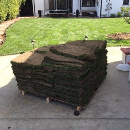 Beautiful medallion plus sod.