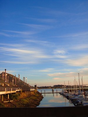 Embarcadero Resort Hotel & Marina by null