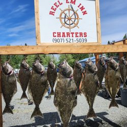 Reel'em Inn - Cook Inlet Charters - Halibut!