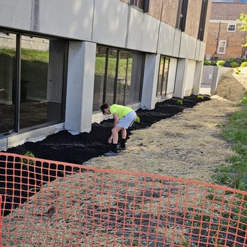 The Next Generation Yard And Tree Service - Landscaping Near Me - Jordan, New York The Next Generation Yard And Tree Service - Landscaping Near Me - Jordan, New York