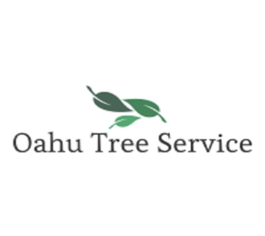 Oahu Tree Trimming and Removal Experts - tree service in Aiea, HI